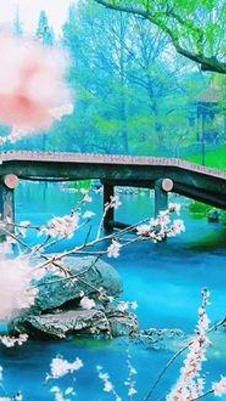 美妙夏季拼图